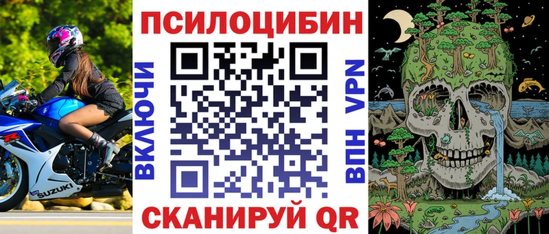 где можно купить   Покачи  Псилоцибиновые грибы ЛСД 